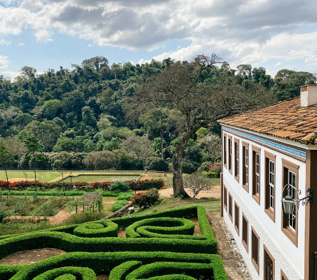 Brazil Luzia Collective PB