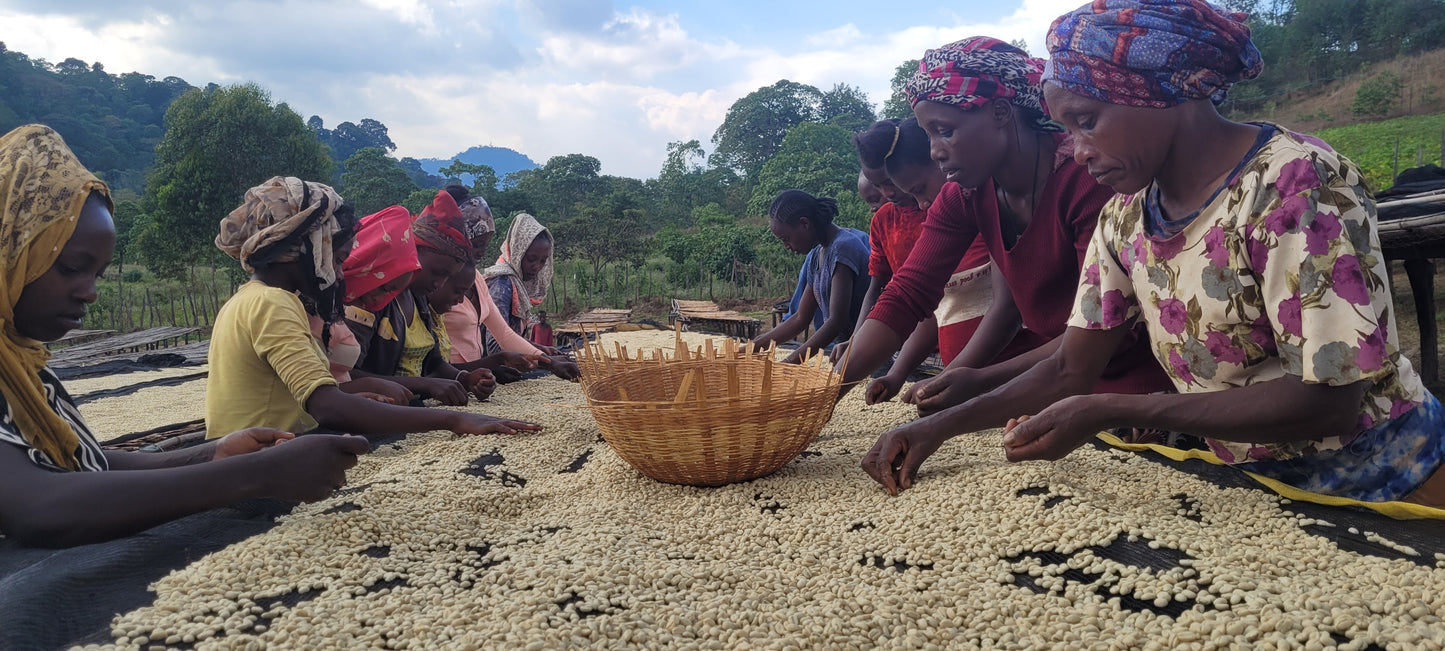 Ethiopia Kelloo Lalesa