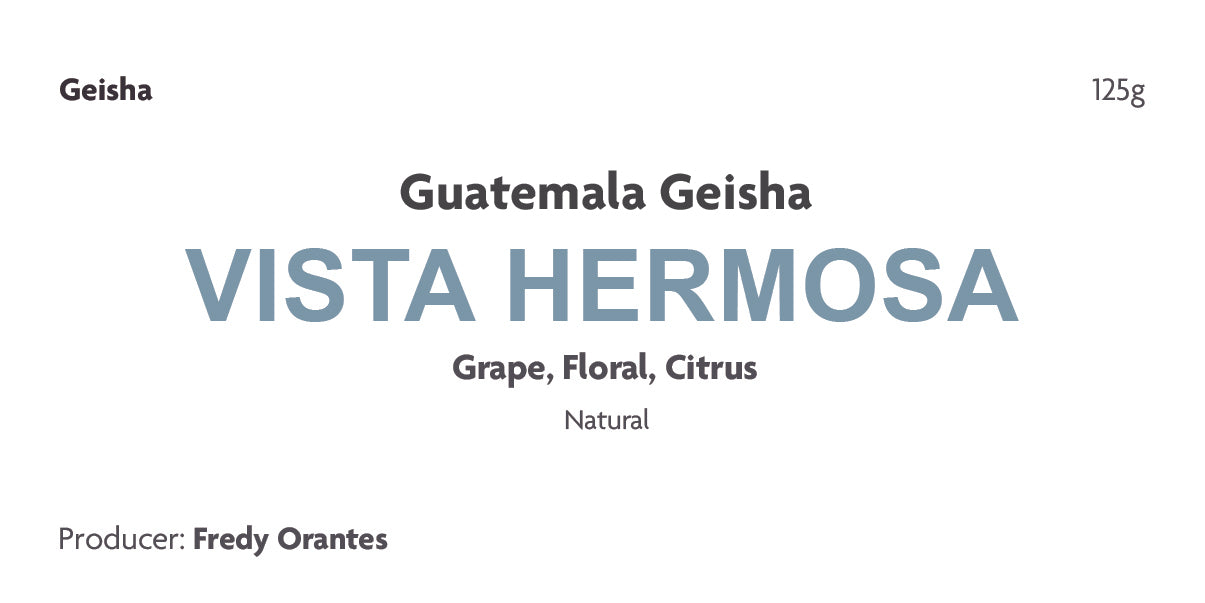 Guatemala Geisha Vista Hermosa