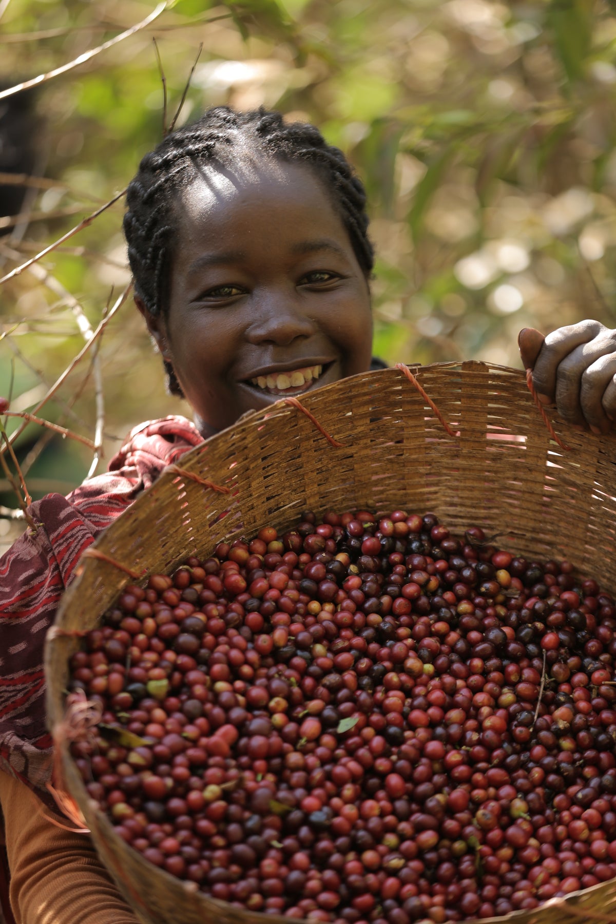 Ethiopia Kelloo Banko Gotiti