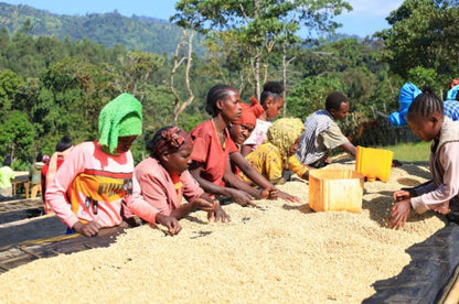 Ethiopia Bensa Setamo