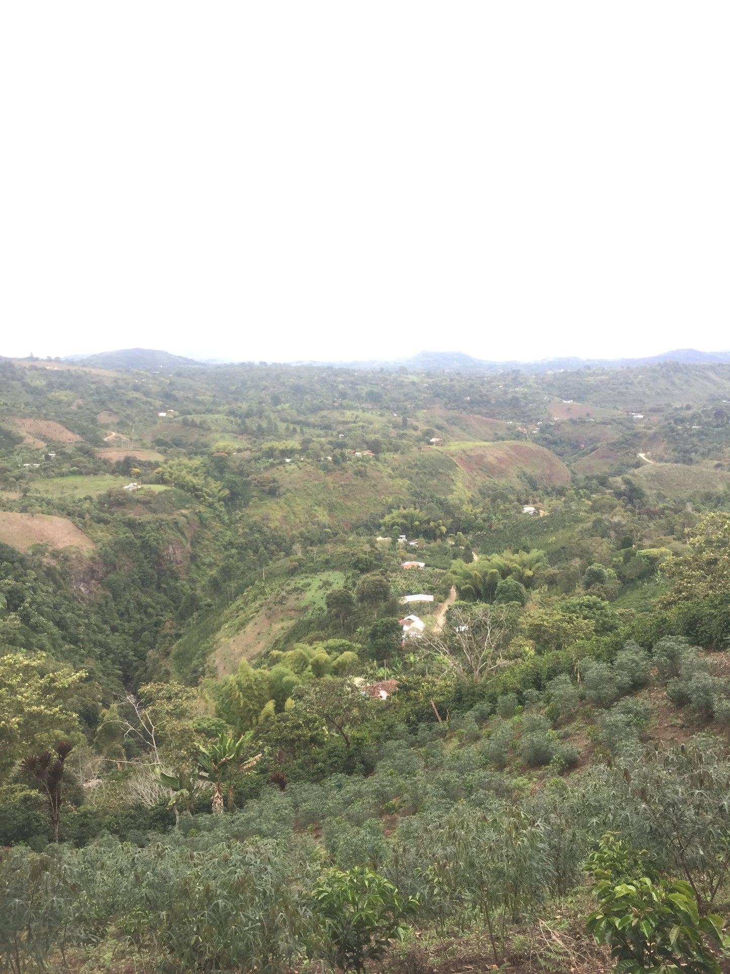 Coffee-growing valley landscape at Los Naranjos, San Agustín, Colombia