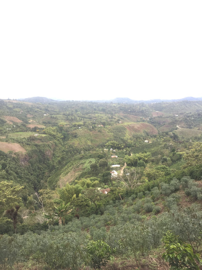 Coffee-growing valley landscape at Los Naranjos, San Agustín, Colombia