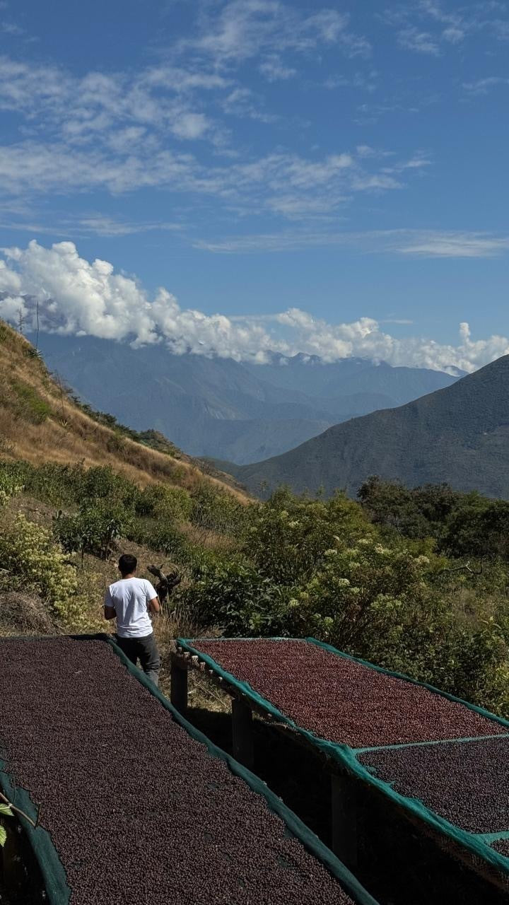 Peru Colectivo Pacaybamba