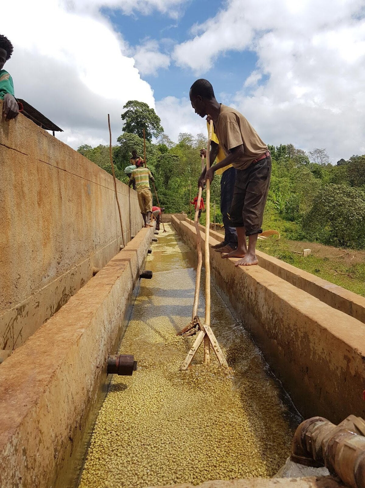 Ethiopia Bildimoo Danche