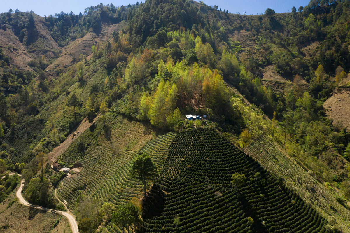 Honduras El Durazno