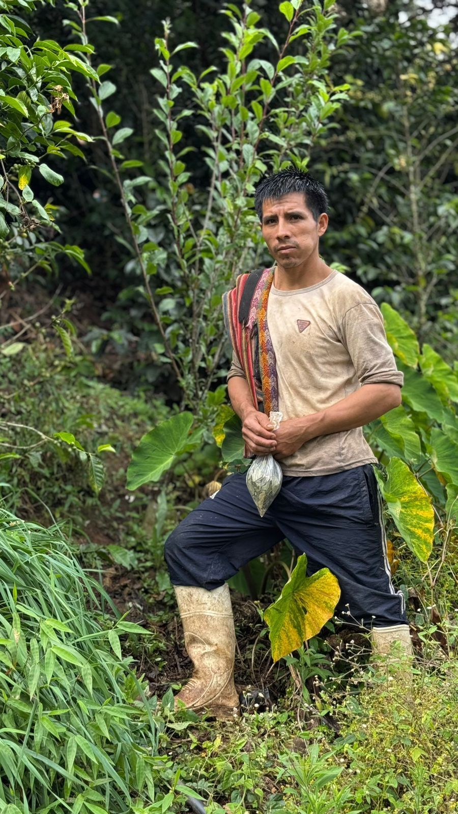 Peru Colectivo Pacaybamba