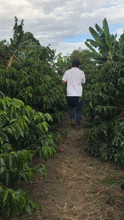 Colombia Santa Elena