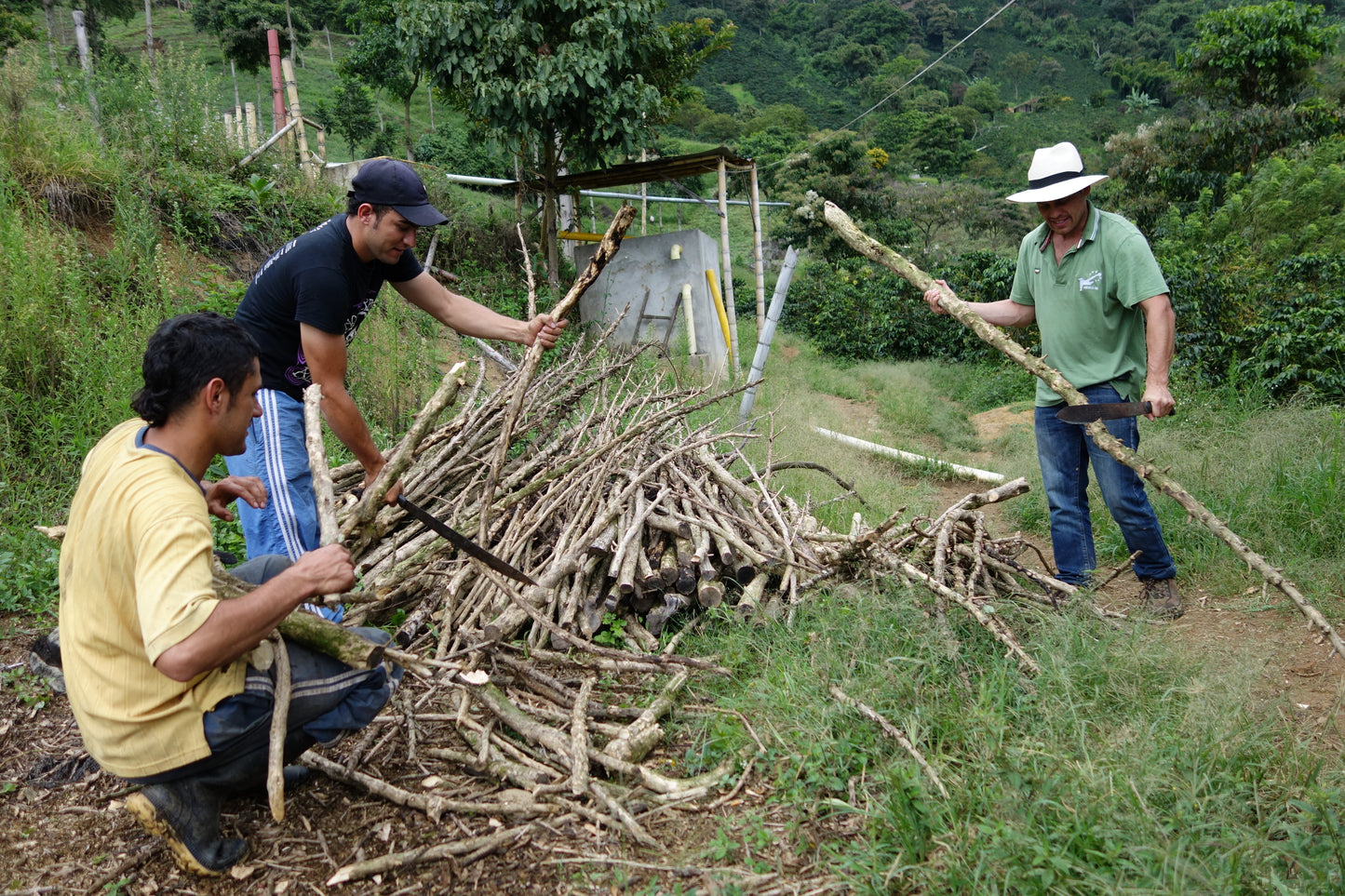 Colombia El Encanto