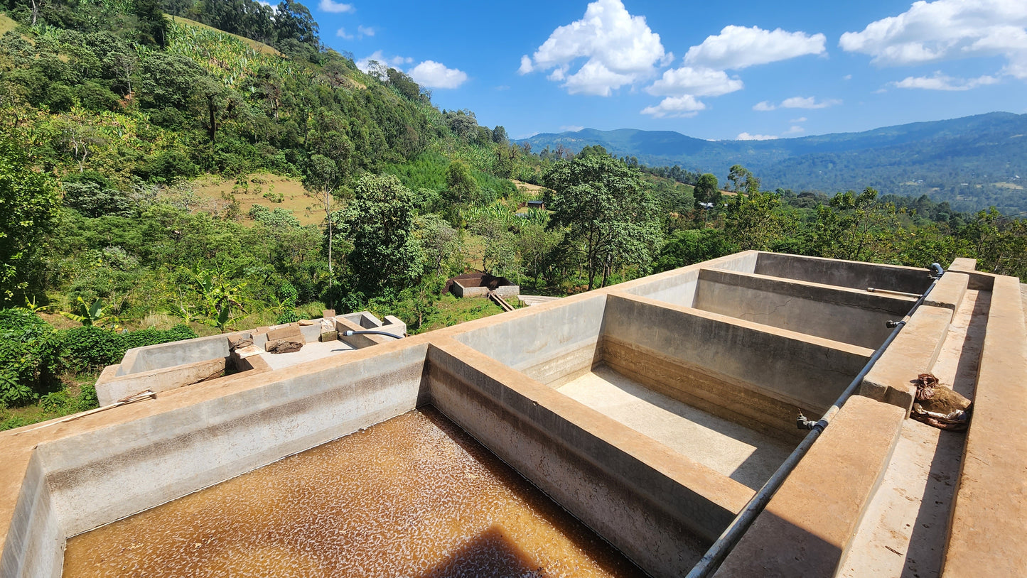 Ethiopia Kelloo Lalesa