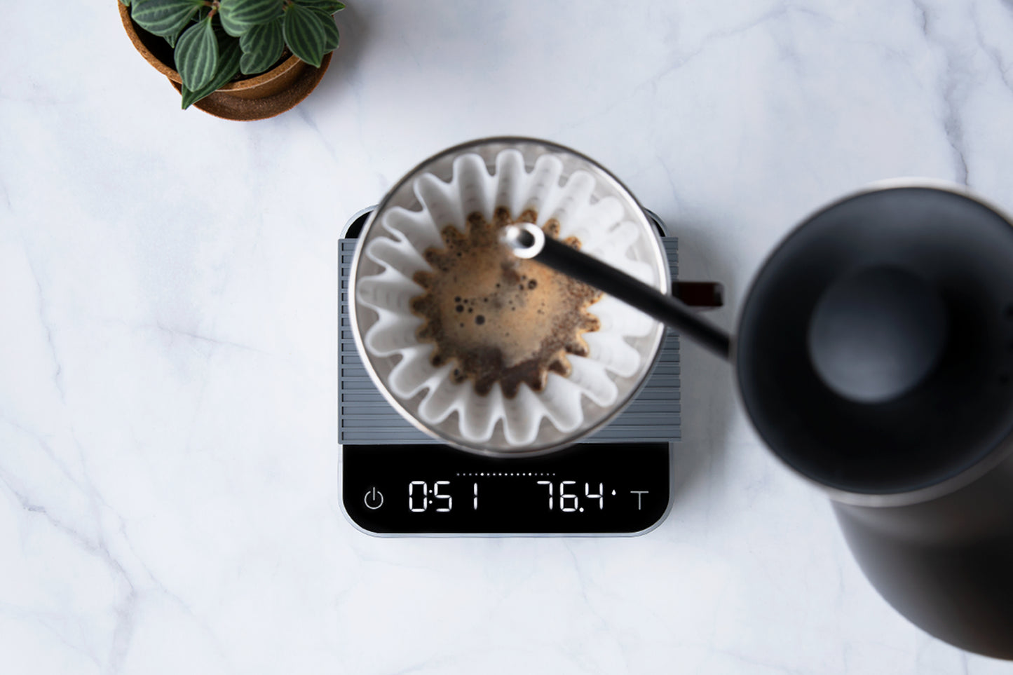 Acaia Pearl
