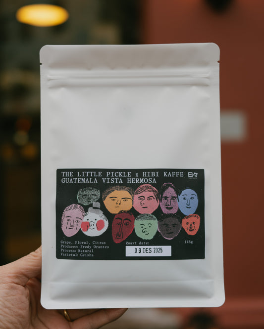 Guatemala Geisha Vista Hermosa