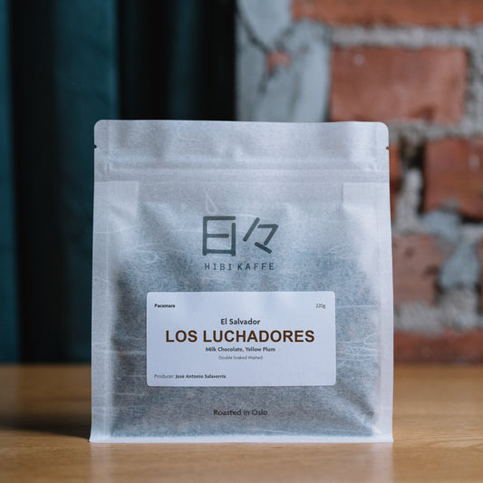 El Salvador Los Luchadores