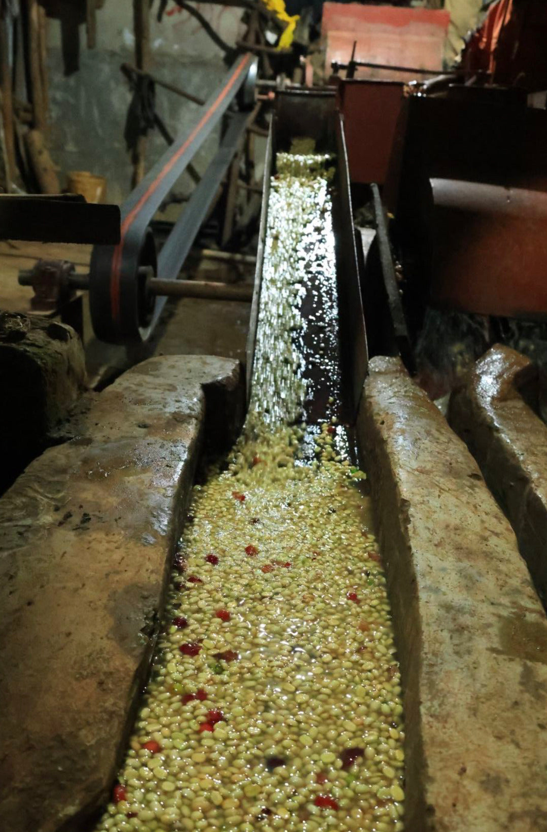 Ethiopia Bensa Setamo