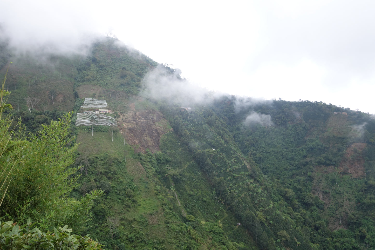 Colombia El Encanto
