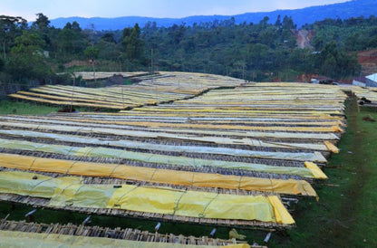 Ethiopia Bensa Setamo