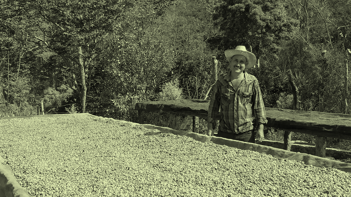 Producer beside drying beds of natural-process coffee at Los Chelazos, Chalatenango, El Salvador