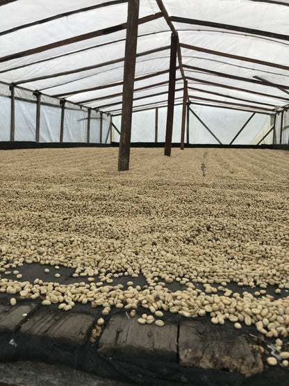 Colombia Santa Elena