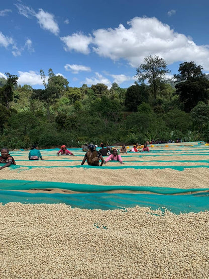 Ethiopia Benti Nenka #2