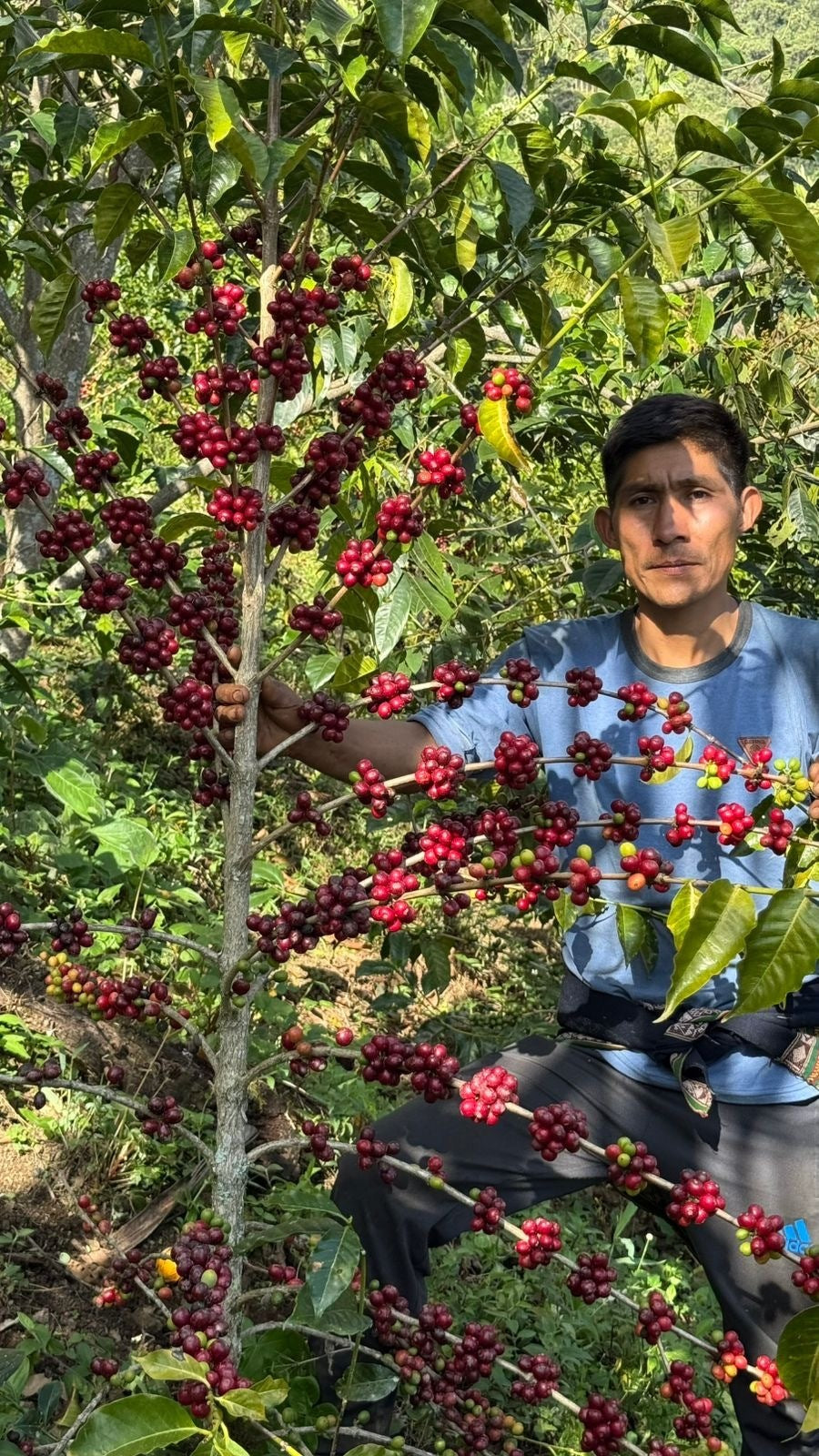 Peru Colectivo Pacaybamba