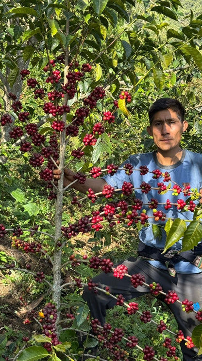Peru Colectivo Pacaybamba