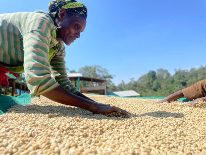 Ethiopia Bildimoo Danche