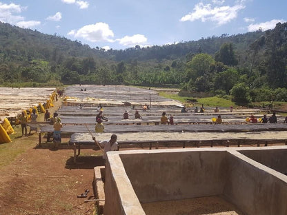Ethiopia Bildimoo Danche